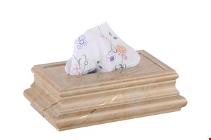 جای دستمال کلنکس کرم رگه طلایی 